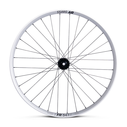 Coppia ruote DT Swiss FR 541 Silver - ATJ