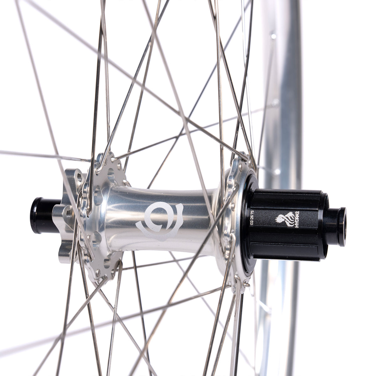 Coppia ruote Spank - DH 369 Vibrocore LTD Silver - Industry Nine Hydra 2