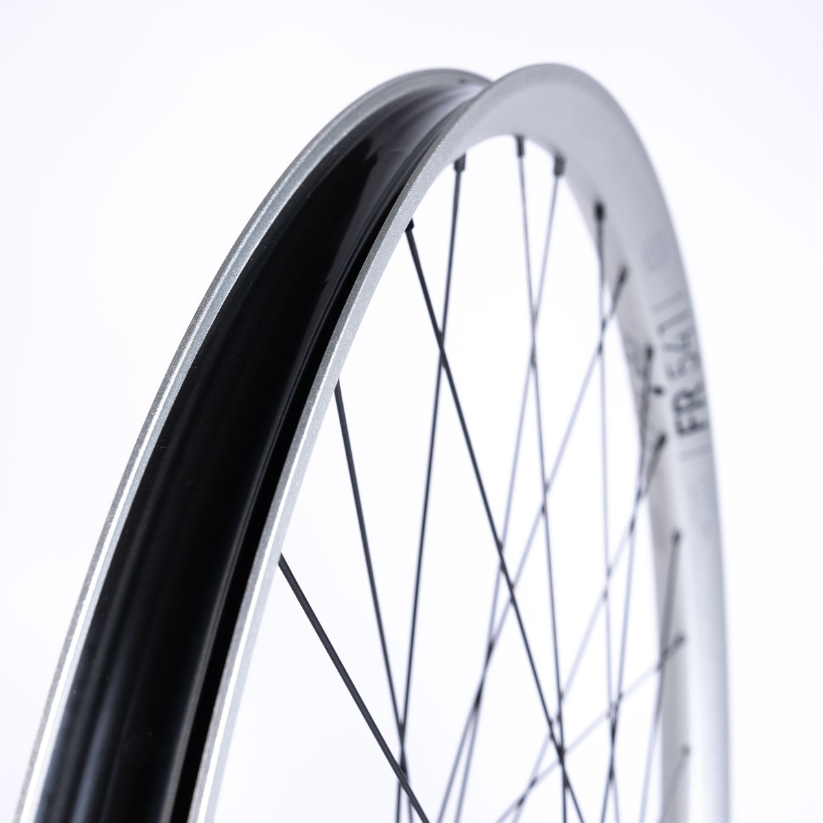 Ruota Posteriore DT Swiss FR 541 Silver - ATJ