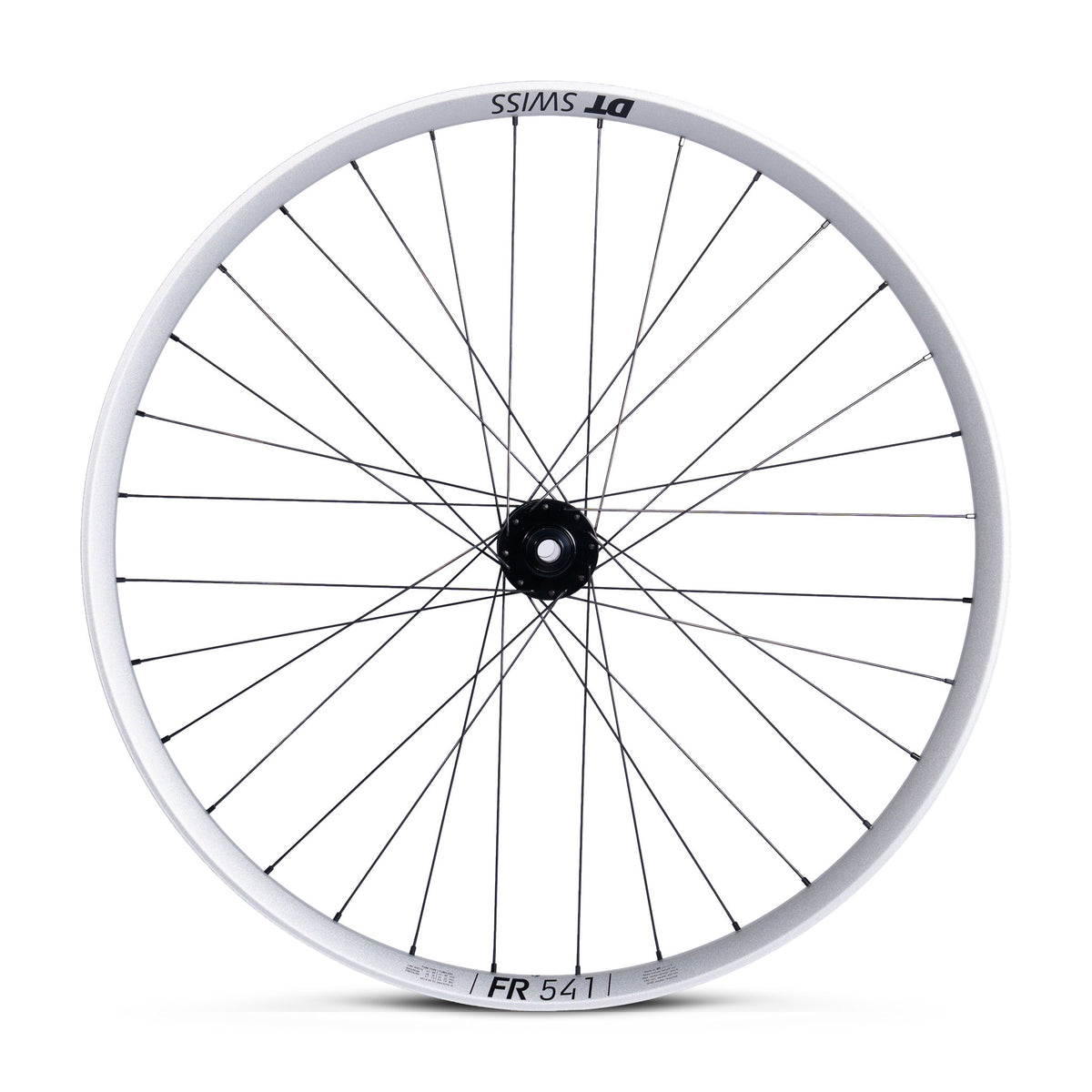 Ruota Anteriore DT Swiss FR 541 Silver - ATJ