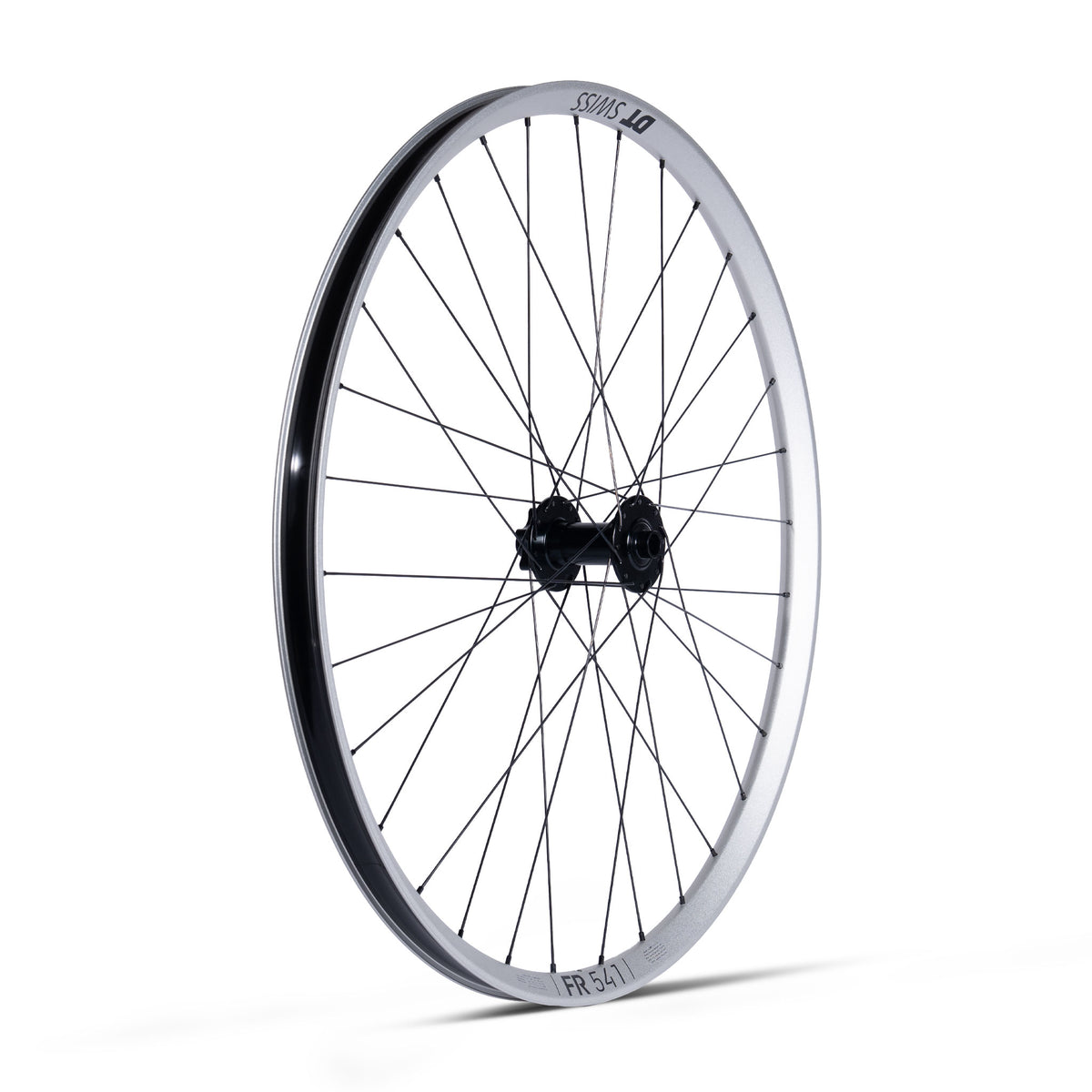 Ruota Anteriore DT Swiss FR 541 Silver - ATJ