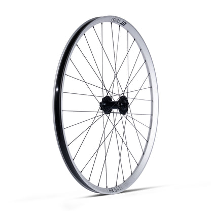 Ruota Anteriore DT Swiss FR 541 Silver - ATJ
