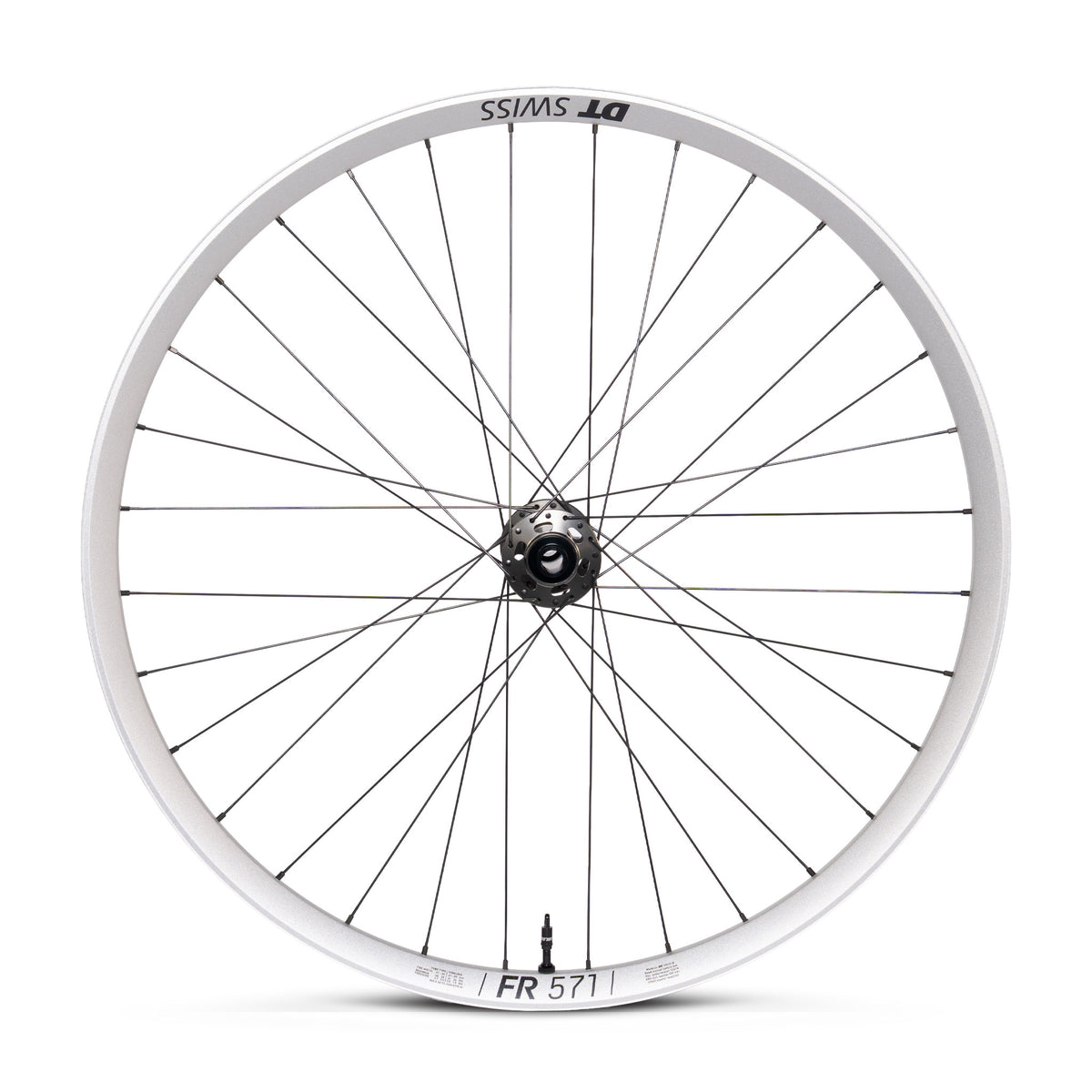 Coppia ruote DT Swiss FR 571 Silver - Spank HEX