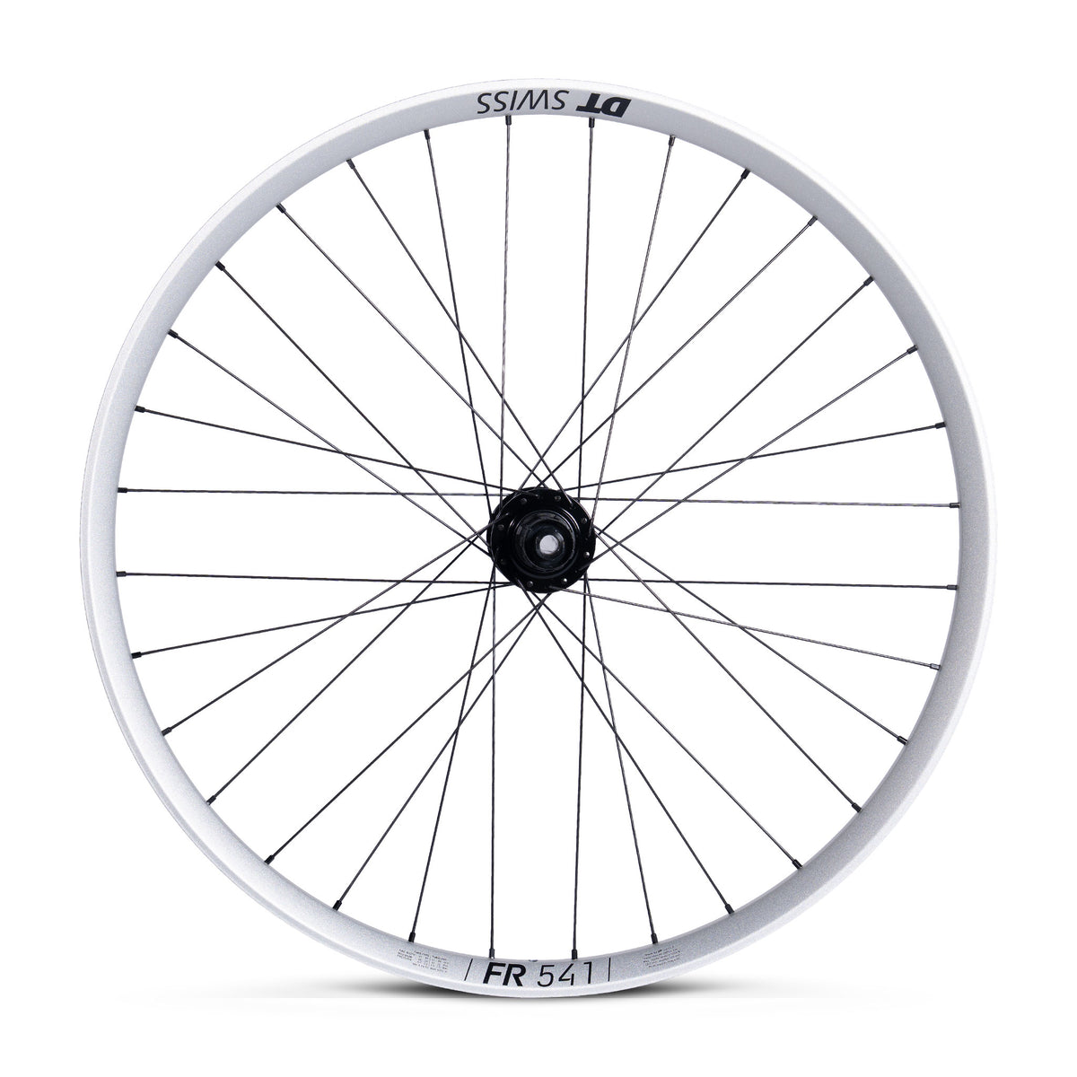 Ruota Posteriore DT Swiss FR 541 Silver - ATJ