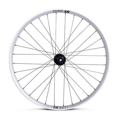 Ruota Posteriore DT Swiss FR 541 Silver - ATJ