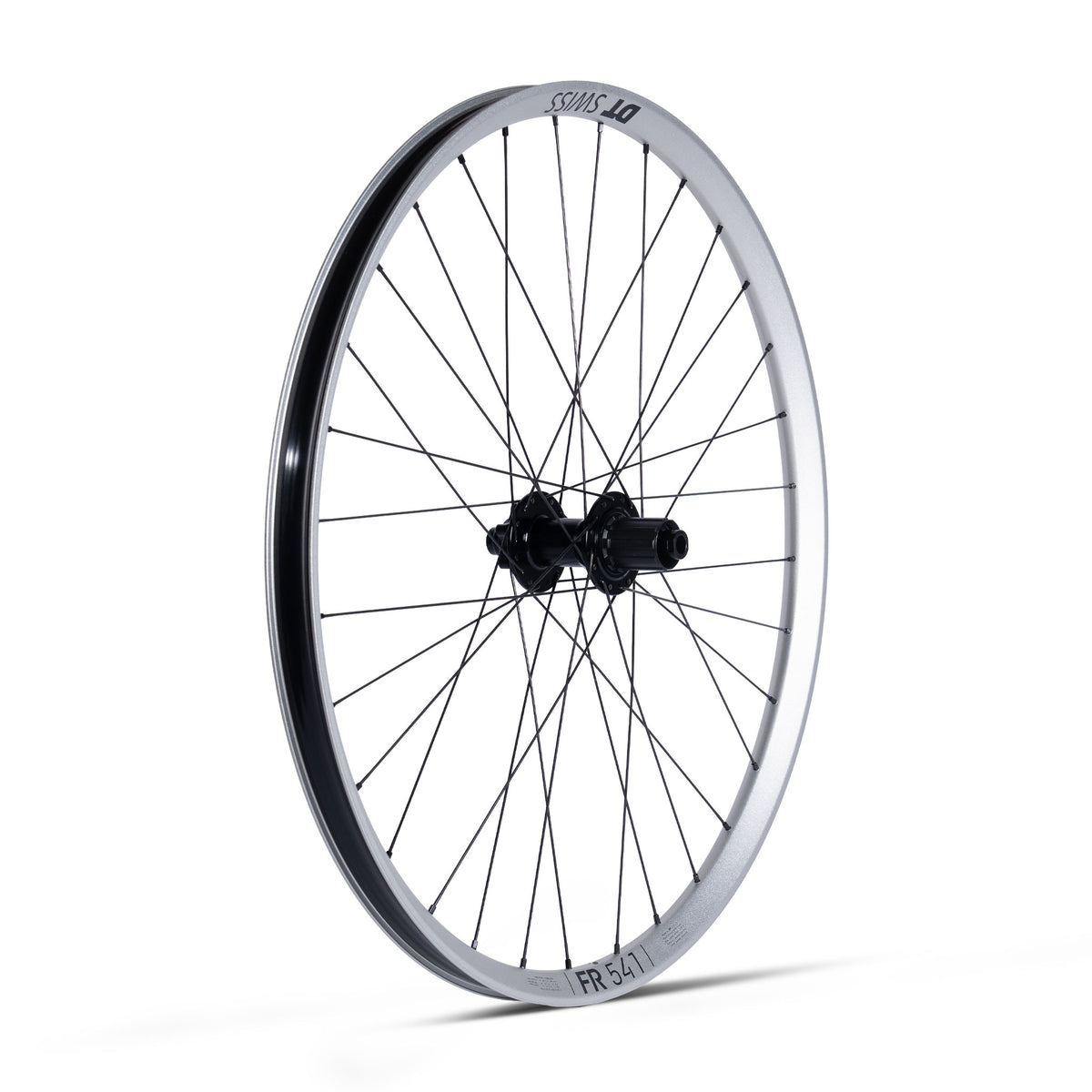 Ruota Posteriore DT Swiss FR 541 Silver - ATJ