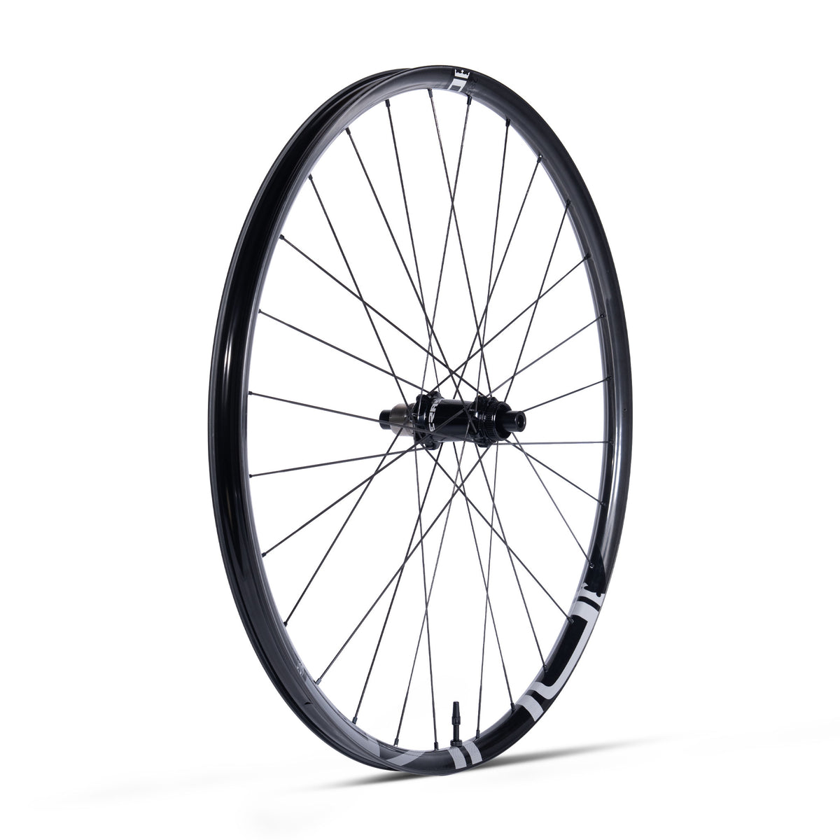 Ruota Posteriore Duke - Lucky Jack SLS5 - Erase
