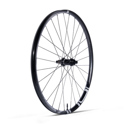 Ruota Posteriore Duke - Lucky Jack SLS5 - Erase
