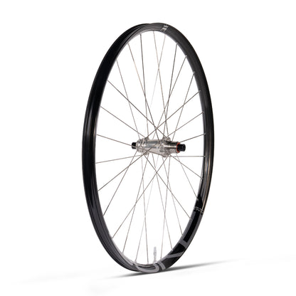 Ruota Posteriore Duke - Lucky Jack SLS5 - Erase
