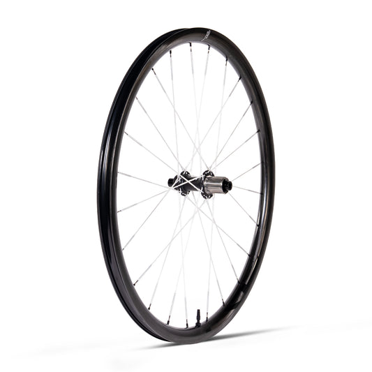 Ruota Posteriore Duke - Strada 30 - Berd