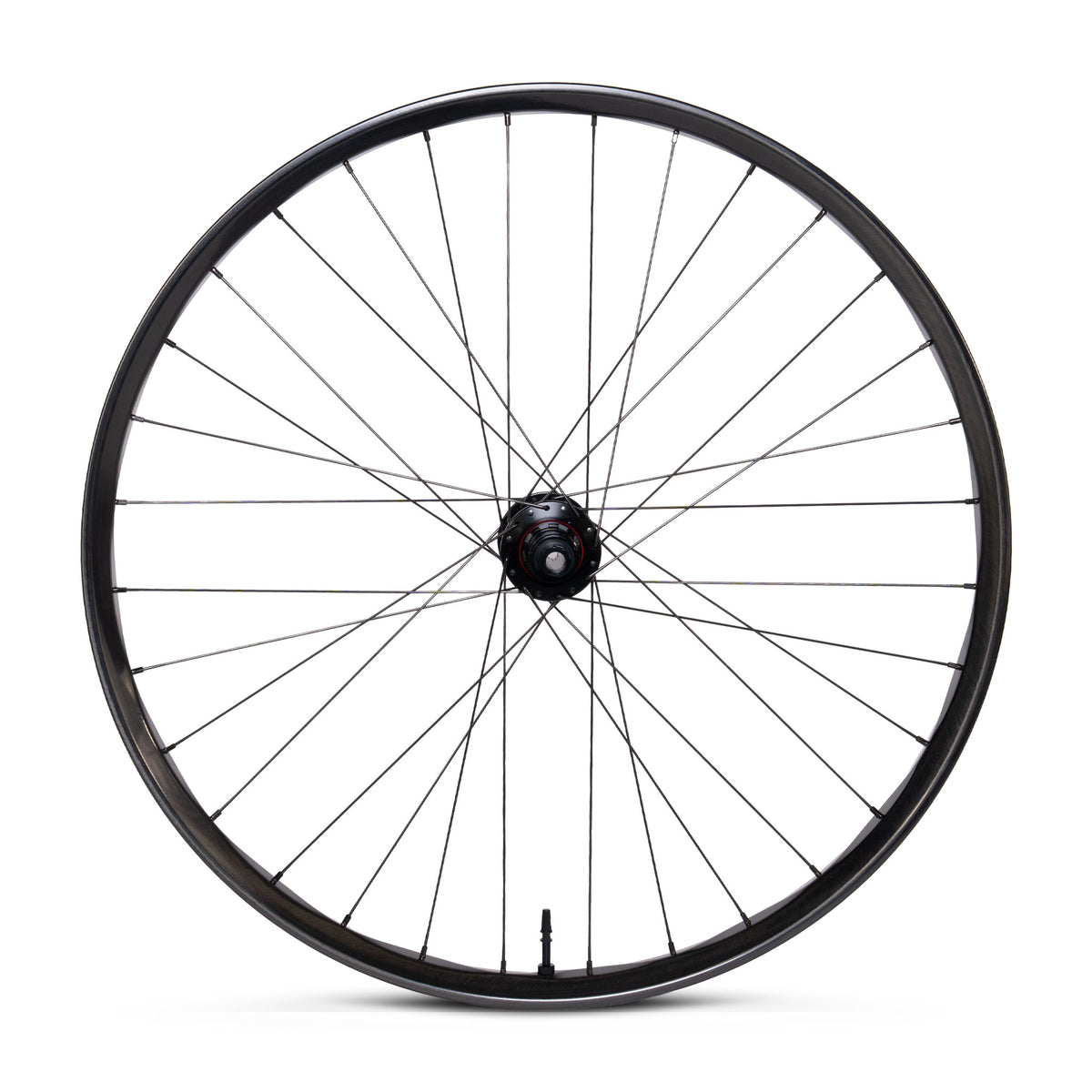 Ruota posteriore We Are One - Triad Convergence Carbon - M10J