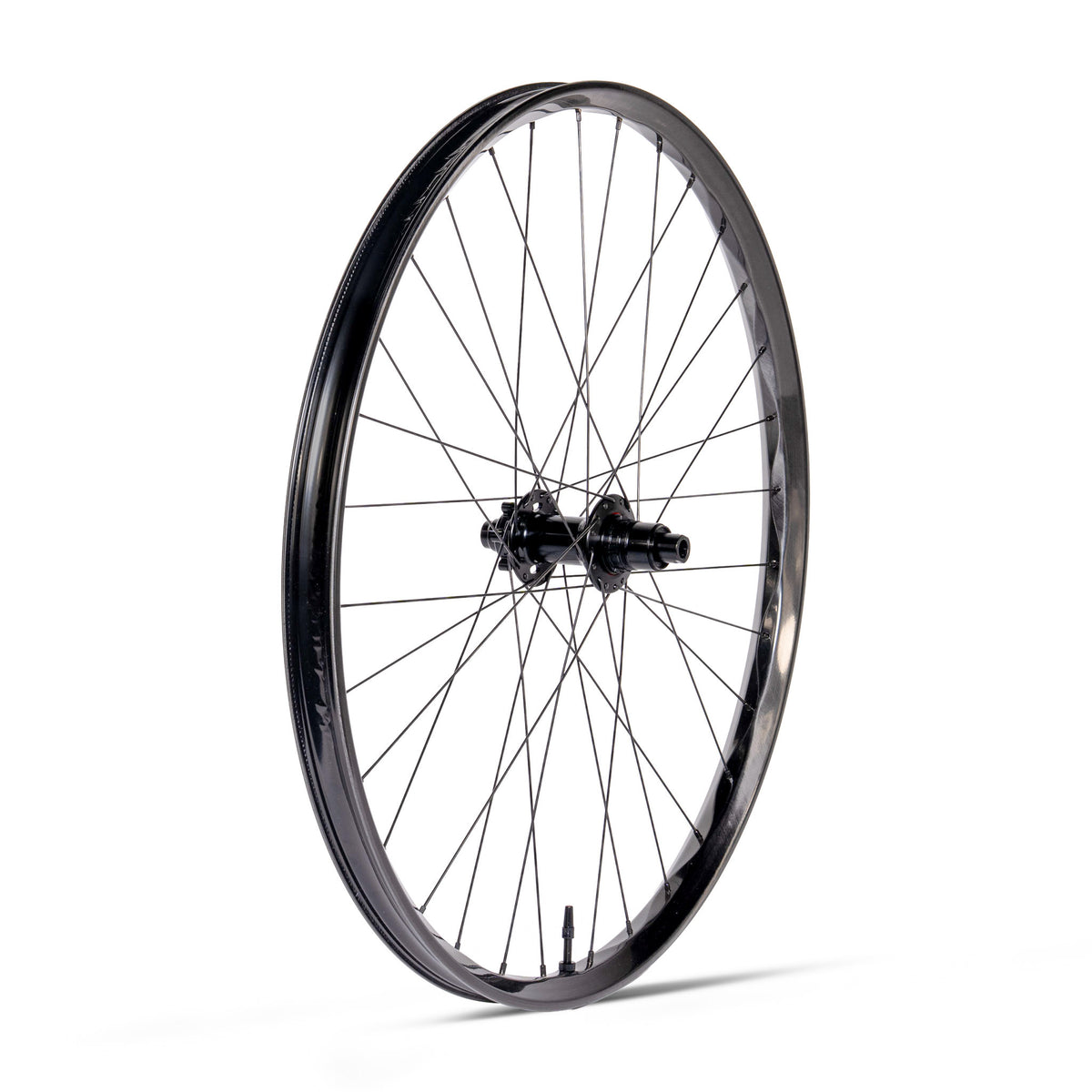Ruota posteriore We Are One - Triad Convergence Carbon - M10J