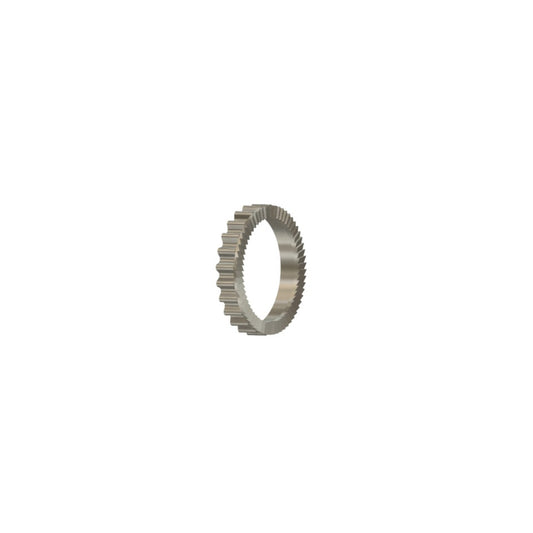 Ricambi Erase – Inox Ratchet 60 MTB
