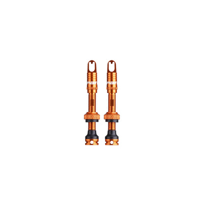 Valvole Tubeless Spank