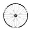 RUOTA POSTERIORE SPANK SPIKE 33 BOOST